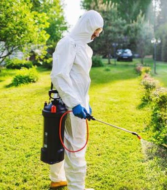 spraying-lawn safe garden for pets and family
